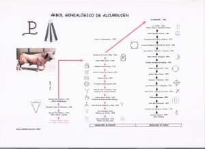 Árbol genealógico de encaste y de hierro de la ganadería de Alcurrucén